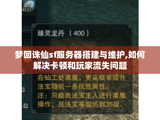 梦回诛仙sf服务器搭建与维护,如何解决卡顿和玩家流失问题