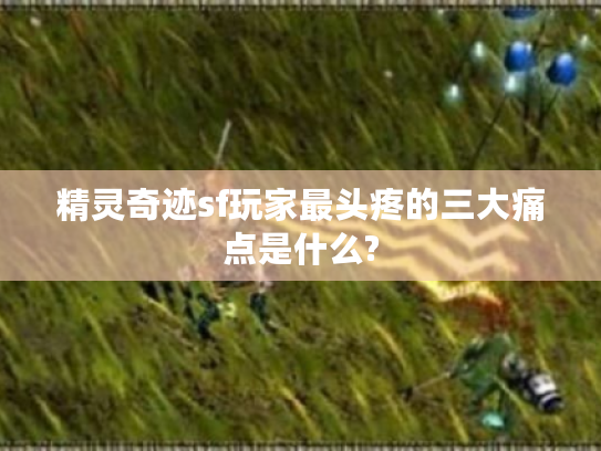 精灵奇迹sf玩家最头疼的三大痛点是什么?