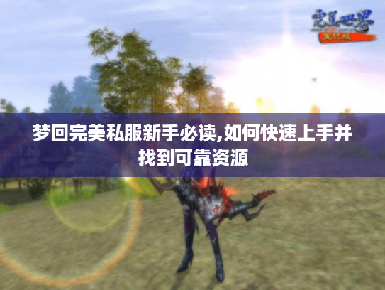 梦回完美私服新手必读,如何快速上手并找到可靠资源