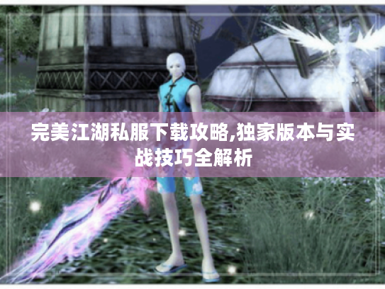 完美江湖私服下载攻略,独家版本与实战技巧全解析 完美江湖私服下载攻略,独家版本与实战技巧全解析