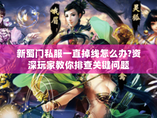 新蜀门私服一直掉线怎么办?资深玩家教你排查关键问题