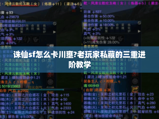 诛仙sf怎么卡川壅?老玩家私藏的三重进阶教学