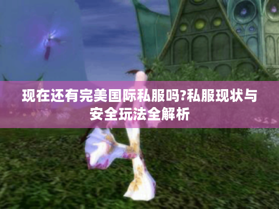 现在还有完美国际私服吗?私服现状与安全玩法全解析