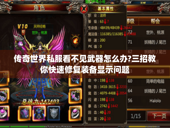 传奇世界私服看不见武器怎么办?三招教你快速修复装备显示问题