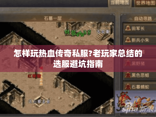 怎样玩热血传奇私服?老玩家总结的选服避坑指南