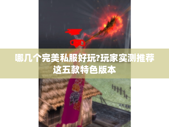 哪几个完美私服好玩?玩家实测推荐这五款特色版本