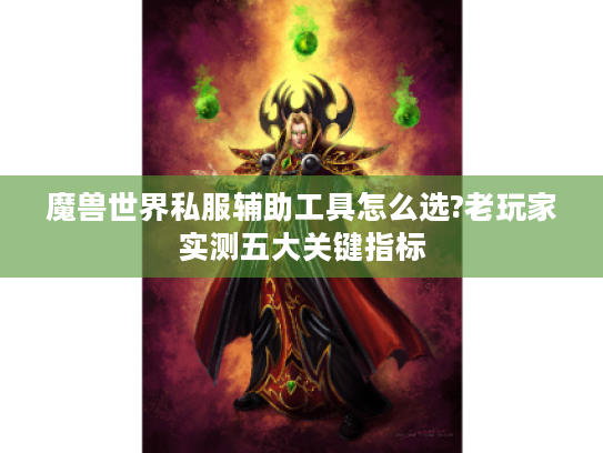 魔兽世界私服辅助工具怎么选?老玩家实测五大关键指标