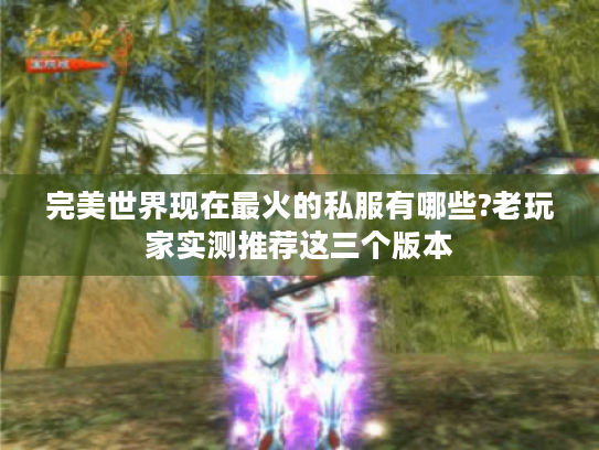 完美世界现在最火的私服有哪些?老玩家实测推荐这三个版本