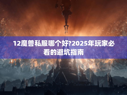 12魔兽私服哪个好?2025年玩家必看的避坑指南