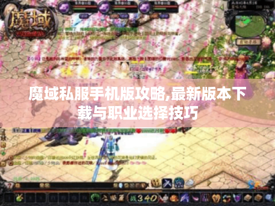 魔域私服手机版攻略,最新版本下载与职业选择技巧