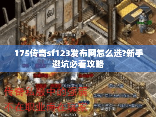 175传奇sf123发布网怎么选?新手避坑必看攻略
