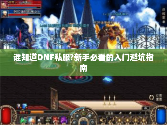 谁知道DNF私服?新手必看的入门避坑指南