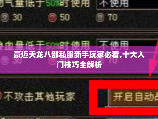 豪迈天龙八部私服新手玩家必看,十大入门技巧全解析