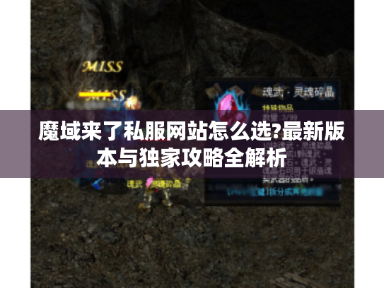 魔域来了私服网站怎么选?最新版本与独家攻略全解析
