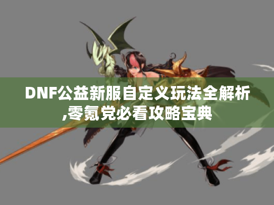 DNF公益新服自定义玩法全解析,零氪党必看攻略宝典