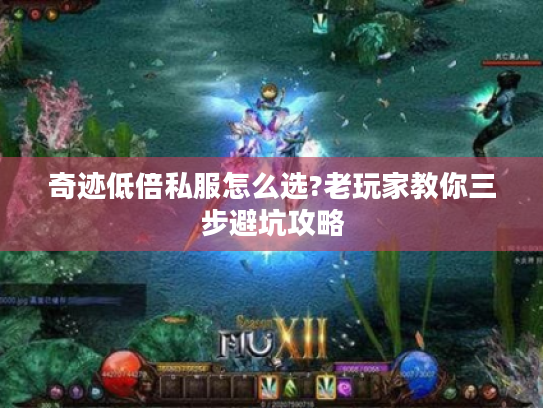 奇迹低倍私服怎么选?老玩家教你三步避坑攻略