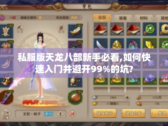 私服版天龙八部新手必看,如何快速入门并避开99%的坑? 私服版天龙八部新手必看,如何快速入门并避开99%的坑?
