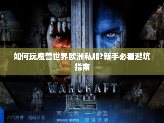 如何玩魔兽世界欧洲私服?新手必看避坑指南