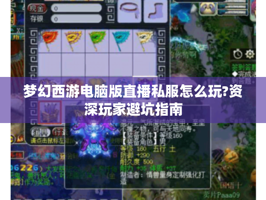 梦幻西游电脑版直播私服怎么玩?资深玩家避坑指南