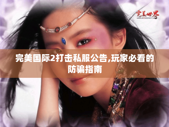 完美国际2打击私服公告,玩家必看的防骗指南
