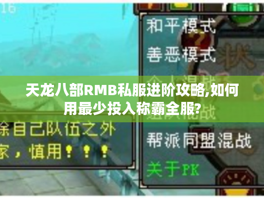 天龙八部RMB私服进阶攻略,如何用最少投入称霸全服?