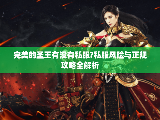 完美的圣王有没有私服?私服风险与正规攻略全解析 完美的圣王有没有私服?私服风险与正规攻略全解析