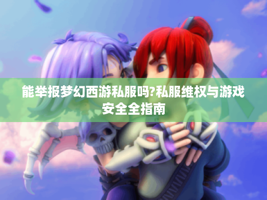 能举报梦幻西游私服吗?私服维权与游戏安全全指南