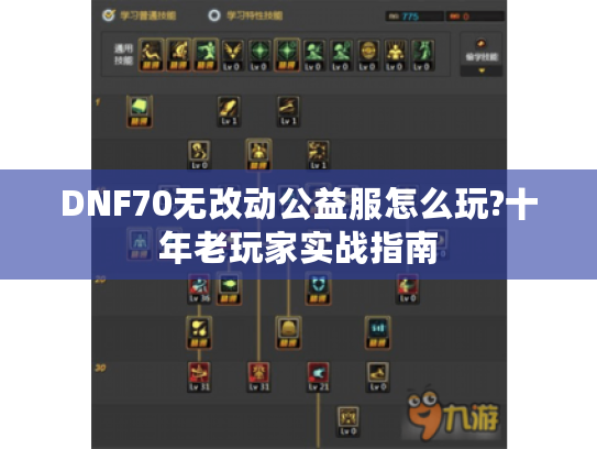 DNF70无改动公益服怎么玩?十年老玩家实战指南