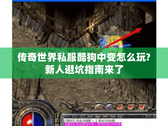 传奇世界私服酷狗中变怎么玩?新人避坑指南来了