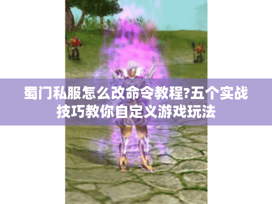 蜀门私服怎么改命令教程?五个实战技巧教你自定义游戏玩法