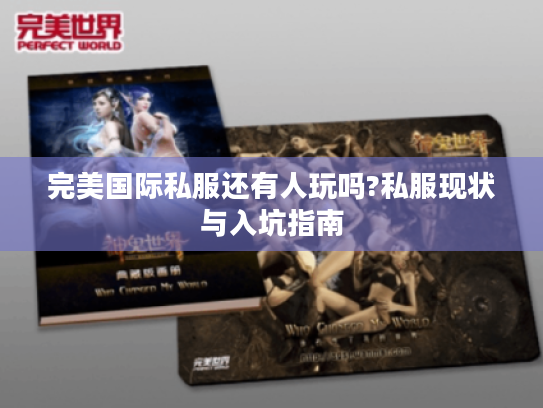 完美国际私服还有人玩吗?私服现状与入坑指南 完美国际私服还有人玩吗?私服现状与入坑指南
