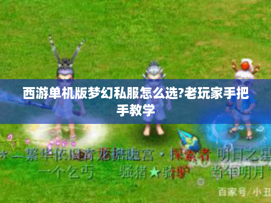 西游单机版梦幻私服怎么选?老玩家手把手教学