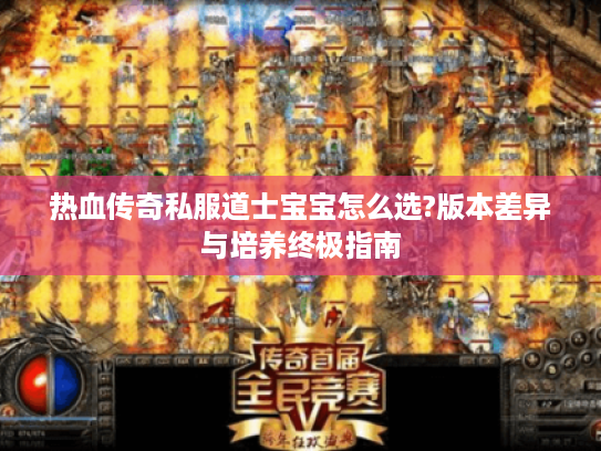 热血传奇私服道士宝宝怎么选?版本差异与培养终极指南