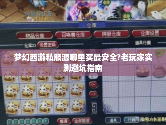 梦幻西游私服源哪里买最安全?老玩家实测避坑指南