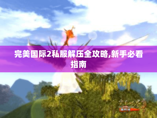 完美国际2私服解压全攻略,新手必看指南 完美国际2私服解压全攻略,新手必看指南