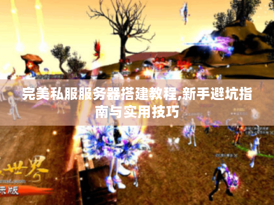 完美私服服务器搭建教程,新手避坑指南与实用技巧