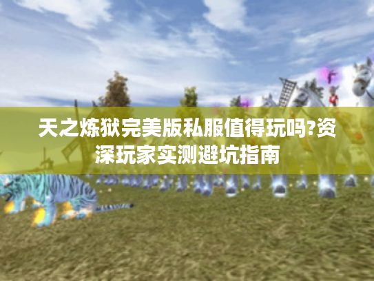 天之炼狱完美版私服值得玩吗?资深玩家实测避坑指南