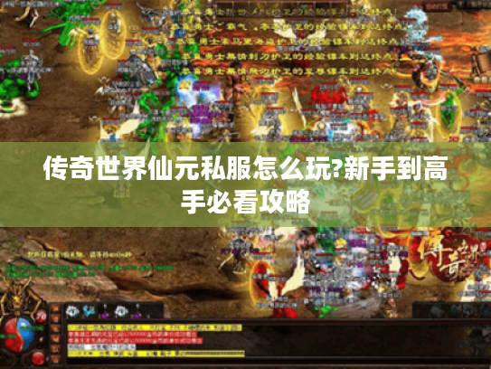 传奇世界仙元私服怎么玩?新手到高手必看攻略