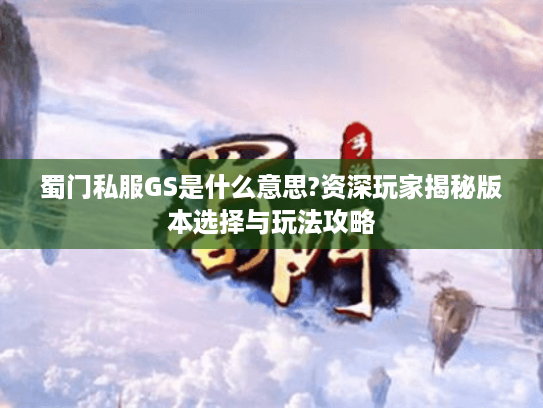 蜀门私服GS是什么意思?资深玩家揭秘版本选择与玩法攻略