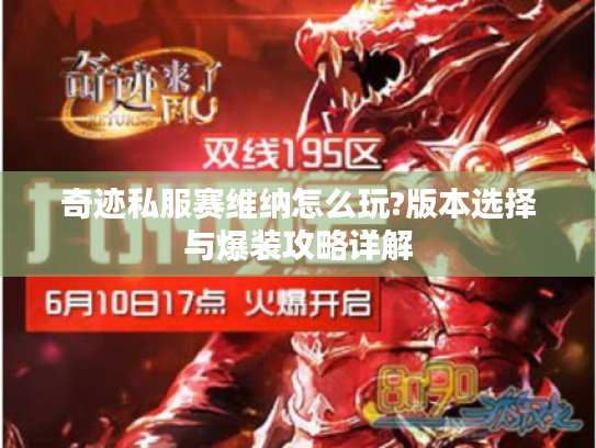 奇迹私服赛维纳怎么玩?版本选择与爆装攻略详解 奇迹私服赛维纳怎么玩?版本选择与爆装攻略详解