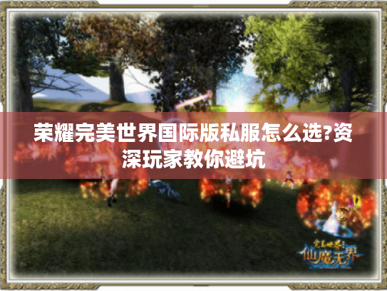 荣耀完美世界国际版私服怎么选?资深玩家教你避坑