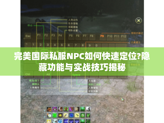 完美国际私服NPC如何快速定位?隐藏功能与实战技巧揭秘