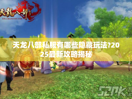 天龙八部私服有哪些隐藏玩法?2025最新攻略揭秘