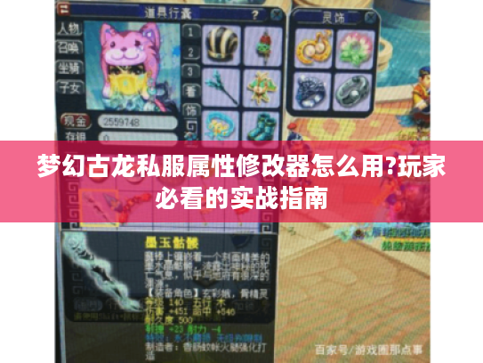 梦幻古龙私服属性修改器怎么用?玩家必看的实战指南