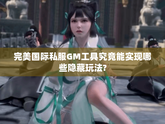 完美国际私服GM工具究竟能实现哪些隐藏玩法?