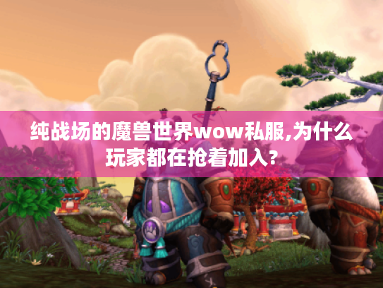 纯战场的魔兽世界wow私服,为什么玩家都在抢着加入?