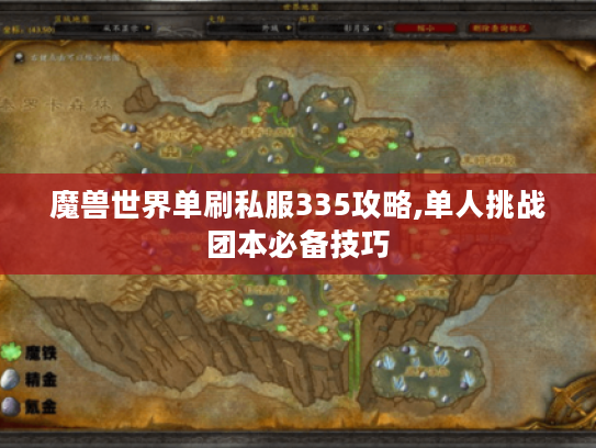 魔兽世界单刷私服335攻略,单人挑战团本必备技巧