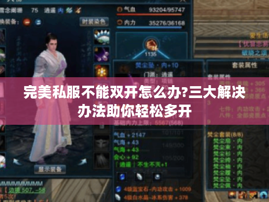 完美私服不能双开怎么办?三大解决办法助你轻松多开