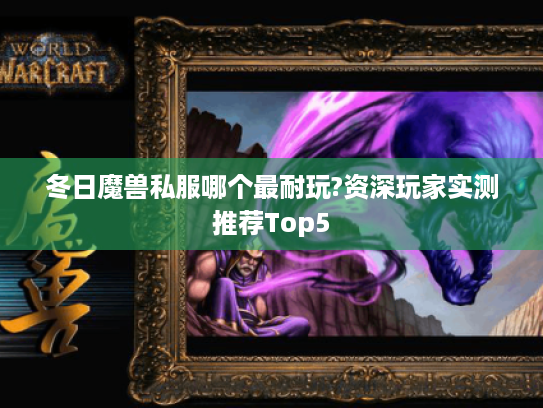 冬日魔兽私服哪个最耐玩?资深玩家实测推荐Top5