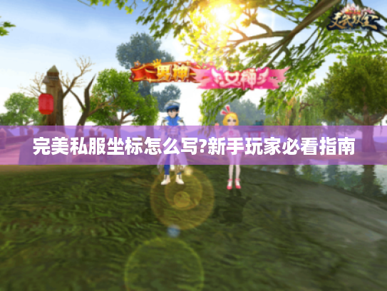 完美私服坐标怎么写?新手玩家必看指南